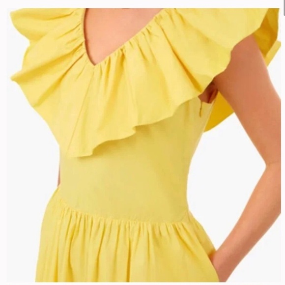 Tuckernuck Hyacinth House Yellow Ruffle Josie Dress Sleeveless Maxi - Picture 2 of 6